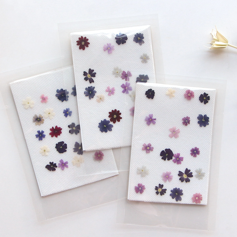Pressed Flower Frame - 40 шт./партия, маленькие прессованные цветочные лепестки
