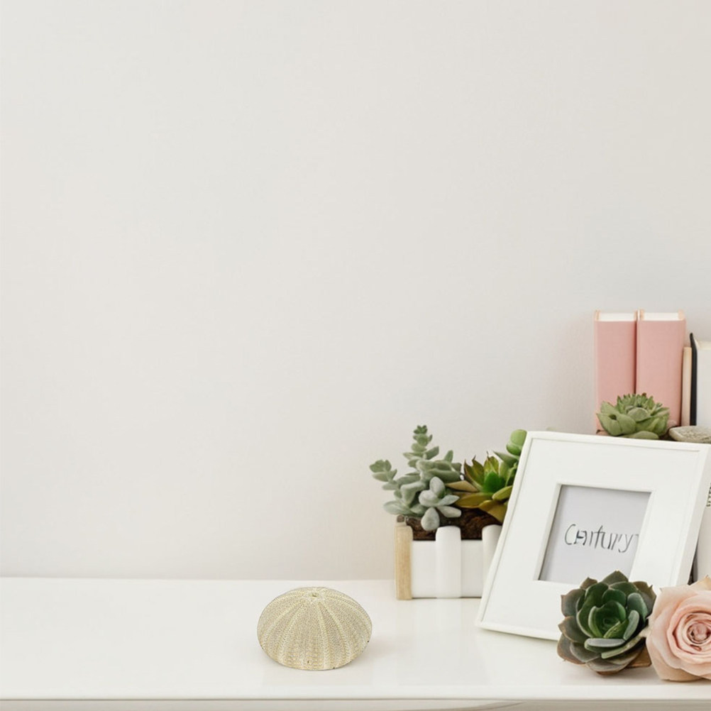 Home Decor Vase - 18 шт. ракушек морского ежа для