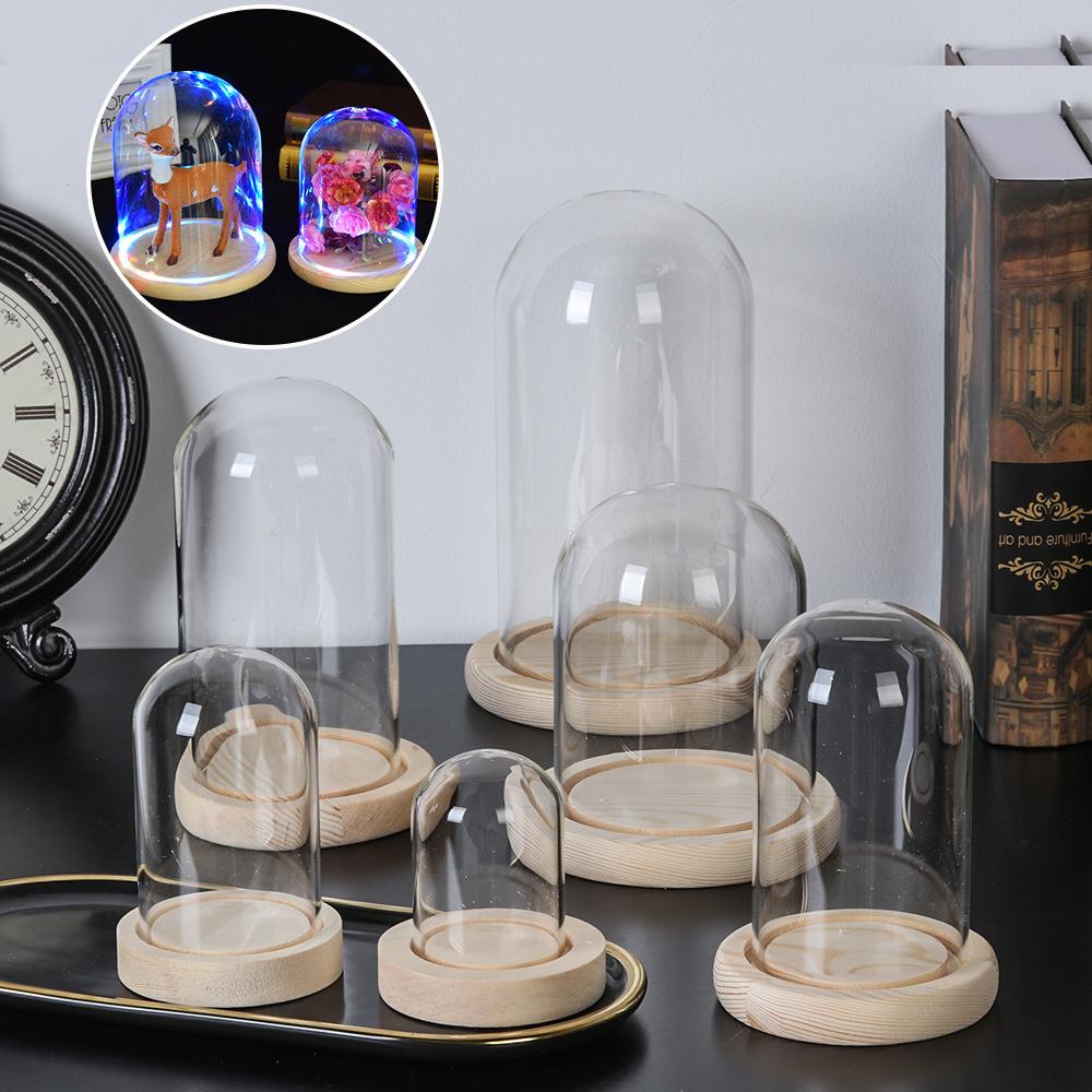Home Decor Vase - Декоративные растения для дома: стеклянная ваза-террариум