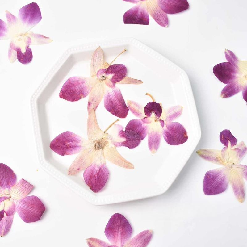 Pressed Flower Frame - 4 шт., Настоящие прессованные цветы орхидеи-бабочки