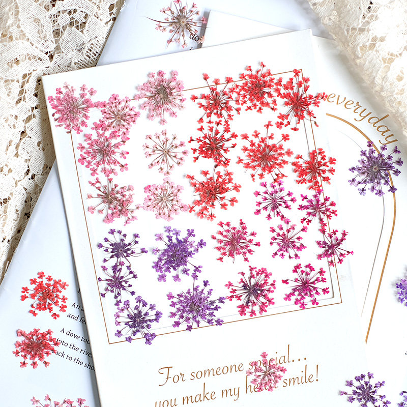 Pressed Flower Frame - 24 шт., 2-2,5 см, натуральные окрашенные