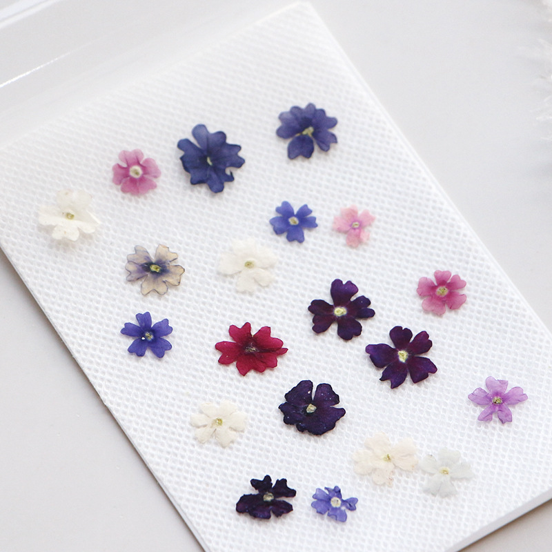 40 шт./партия, маленькие пресс – обзор и цена Pressed Flower Frame