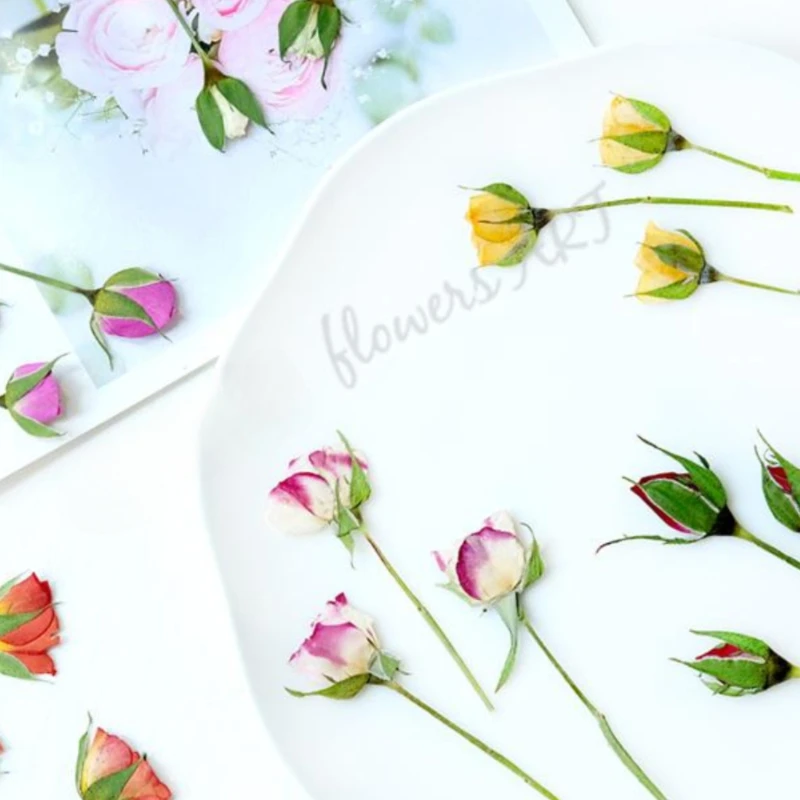 Сушеные прессованные лепестки  – обзор и цена Pressed Flower Frame
