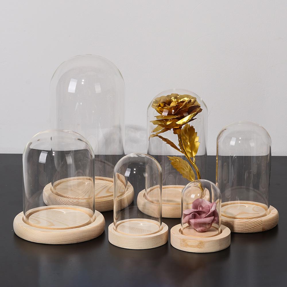 Декоративные растения для дома – обзор и цена Home Decor Vase