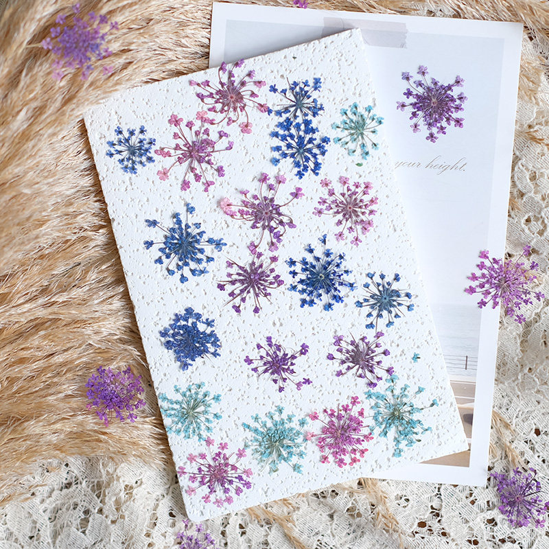 24 шт., 2-2,5 см, натуральные  – обзор и цена Pressed Flower Frame