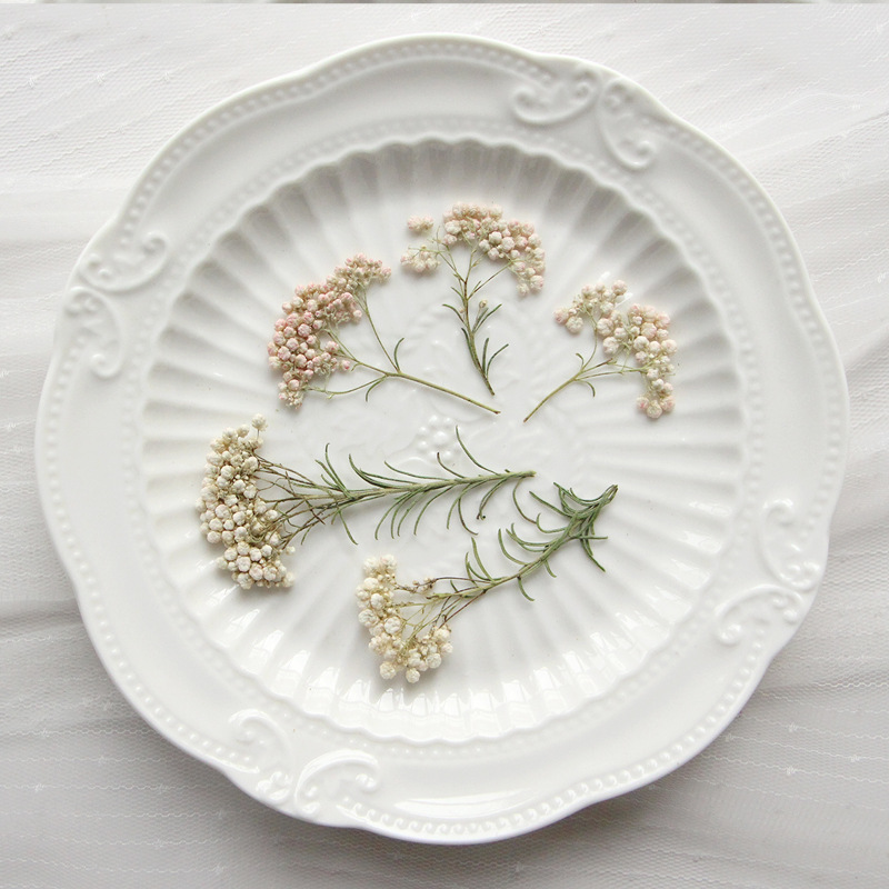12 шт., Натуральные сушеные ве – обзор и цена Pressed Flower Frame